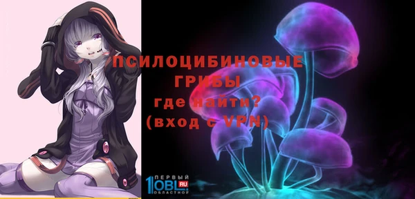 стаф Алексеевка