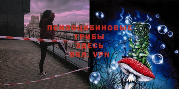 стаф Алексеевка